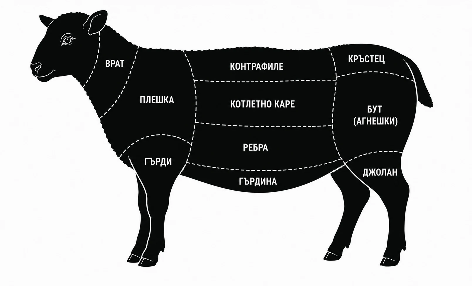 Схема на основните разфасовки на агнешко месо